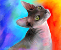 Vibrant Sphynx cat painting Svetlana Novikova Vibrant%20Sphynx%20cat%20painting%20Svetlana%20Novikova (thumbnail)