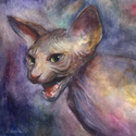 Sphynx cat # 30 painting Giclee print Sphynx%20cat%20%23%2030%20painting%20Giclee%20print (thumbnail)