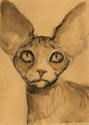 Sphynx cat #46 ink painting Svetlana Novikova Sphynx%20cat%20%2346%20ink%20painting%20Svetlana%20Novikova (thumbnail)