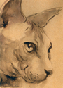 Sphynx cat #40 print painting Svetlana Novikova Sphynx%20cat%20%2340%20print%20painting%20Svetlana%20Novikova (thumbnail)