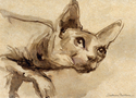 Sphynx cat #41 ink painting Svetlana Novikova Sphynx%20cat%20%2341%20ink%20painting%20Svetlana%20Novikova (thumbnail)
