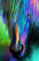Electric%20Stallion%20 (thumbnail)