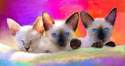 Siamese%20Kittens%20Giclee%20print (thumbnail)