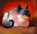 siamese cat 8 siamese%20cat%208 (thumbnail)