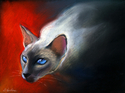 siamese cat # 7 painting Giclee print siamese%20cat%20%23%207%20painting%20Giclee%20print (thumbnail)