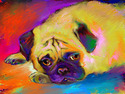 Pug #3 Giclee print Pug%20%233%20Giclee%20print (thumbnail)