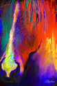 Bright%20Mustang%20horse%20Giclee%20Print (thumbnail)
