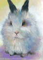 Bunny Rabbit # 1 Bunny%20Rabbit%20%20%23%201 (thumbnail)