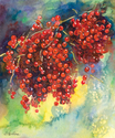 currants berries watercolor painting currants%20berries%20watercolor%20painting%20 (thumbnail)