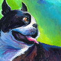 Boston Terrier # 4 painting Giclee Print Boston%20Terrier%20%23%204%20painting%20Giclee%20Print (thumbnail)
