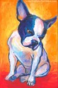 Pensive boston terrier Pensive%20boston%20terrier (thumbnail)