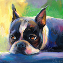 Pensive Boston terrier #2 painting Giclee Print Pensive%20Boston%20terrier%20%232%20painting%20Giclee%20Print (thumbnail)