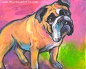 Bulldog # 7 Bulldog%20%23%207%20 (thumbnail)