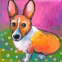 Corgi dog # 2 Corgi%20dog%20%23%202 (thumbnail)