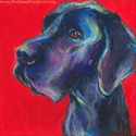 Great Dane # 2 Great%20Dane%20%23%202 (thumbnail)