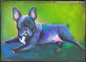 French Bulldog # 4 French%20Bulldog%20%23%204 (thumbnail)