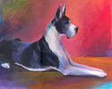 Great Dane # 5 Great%20Dane%20%23%205 (thumbnail)