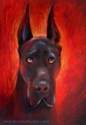 Great Dane # 6 Great%20Dane%20%23%206 (thumbnail)