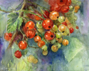 Currants Berries Watercolor Painting garden Novikova Currants%20Berries%20Watercolor%20Painting%20garden%20Novikova (thumbnail)