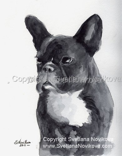 Custom Pet Portraits