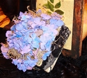 Purple Hydrangea in a Box