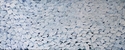Ice Jam