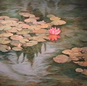 Backyard Reflections