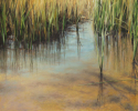 Harold Joiner - Serene Shallow Water