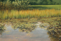 Pond%27s%20Edge (thumbnail)
