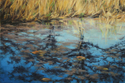 Trees%20at%20Water%27s%20Edge (thumbnail)