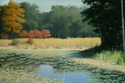 Autumn%20at%20the%20Pond (thumbnail)