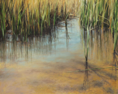 Serene%20Shallow%20Water (large view)