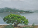 Plein Air, landscape, Belmar, Oil, Realism - Plein Air Painting