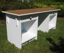 Hanna Desk (Sideview)