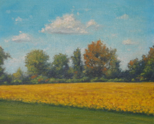 Yellow Field