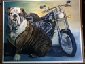 Spike%20and%20Bike (thumbnail)