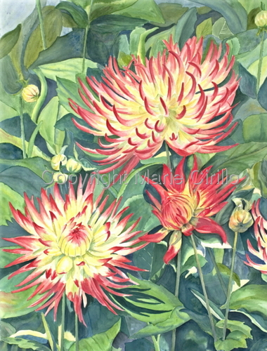 Painting-Dahlias