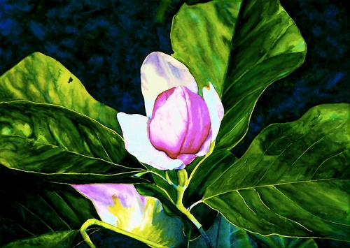 Painting-Floral-Magnolia