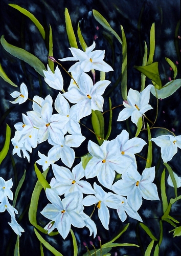 Painting-Floral-Potato Vine