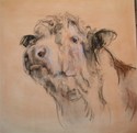 Eric's Bull