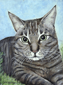 Fat Cat Shay Fat Cat Shay, artist and poet's daughter's green-eyed house cat. (thumbnail)