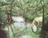 Enchanted Tenneessee Natural wildlife on horse drinking ffrom a streem in a very green Tenneessee. (thumbnail)