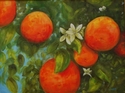 Painting--Oil-BotanicalOrange Crush