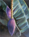 Print Making--GicleeBanana Bloom