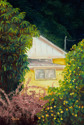 Painting--OilAnnie's