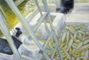 Painting--Oil-SportsHeading Home