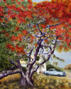 Painting--OilPoinciana Pick-up