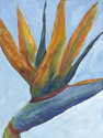 Painting--Oil-BotanicalBird O'Paradise