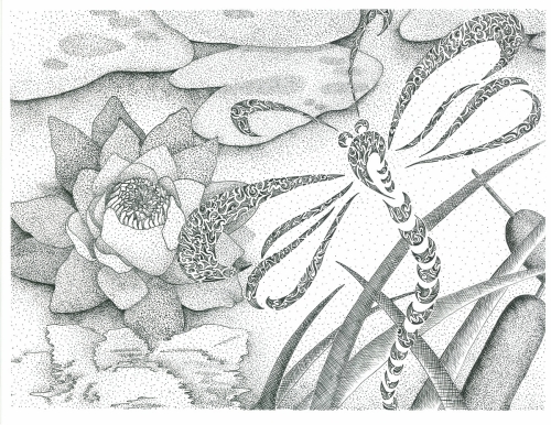 Dragonfly Tales