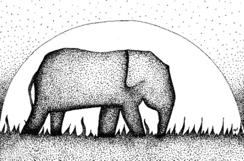 Elephant Safari